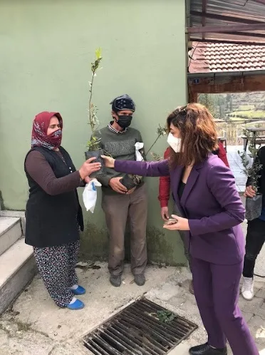 BÜYÜKŞEHİR AKSEKİ’DE DEFNE FİDANI DAĞITTI