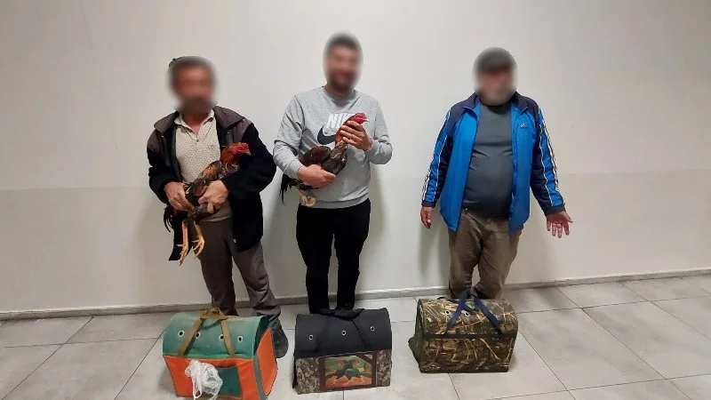 Yeşildere Mahallesi'nde Dövüş İçin Hazırlanan Horozlar Muhafaza Altına Alındı