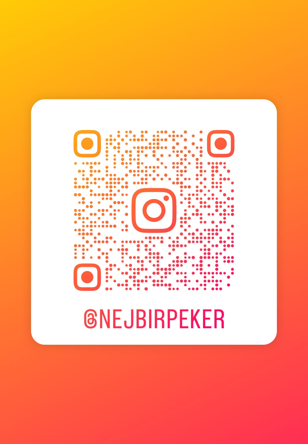 Nejbir Peker Kimdir 