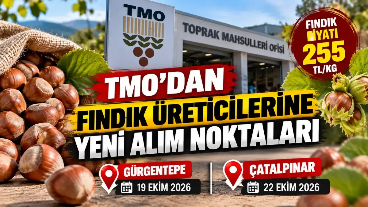 TMO, Ordu'da iki yeni noktada fındık alımına başladı